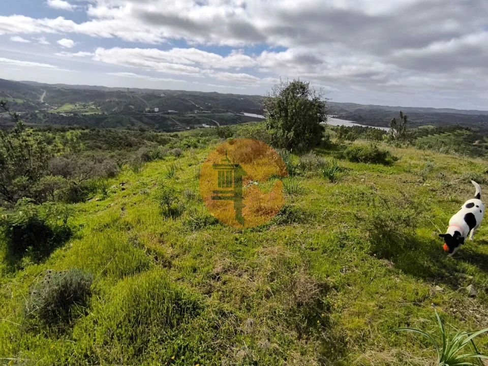 Terreno para Venda em Azinhal Foto 34