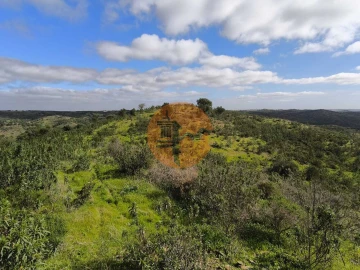 Terreno para Venda em Azinhal