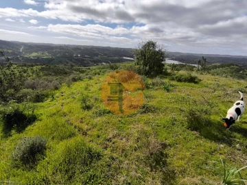 Terreno para Venda em Azinhal