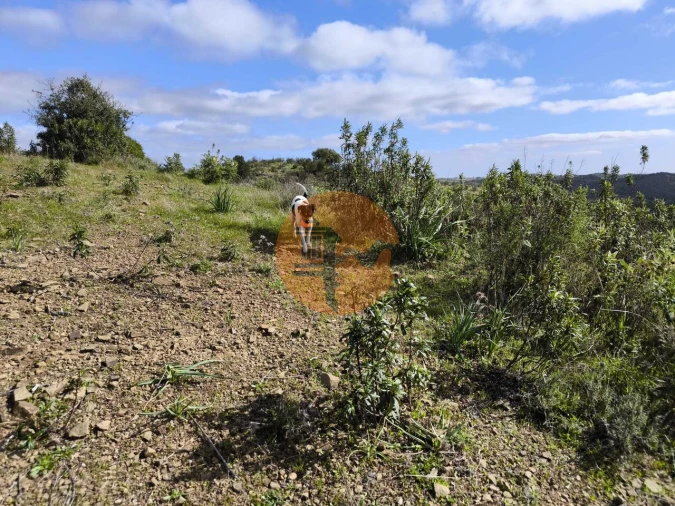 Terreno para Venda em Azinhal Foto 27