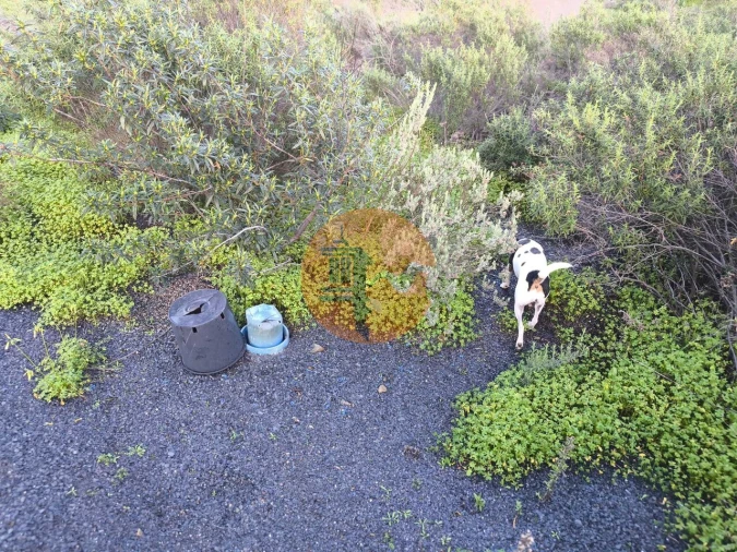 Terreno para Venda em Azinhal Foto 29