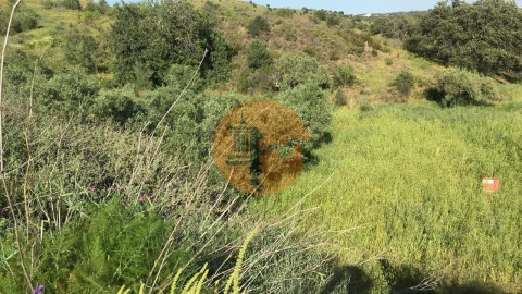Terreno para Venda em Azinhal
