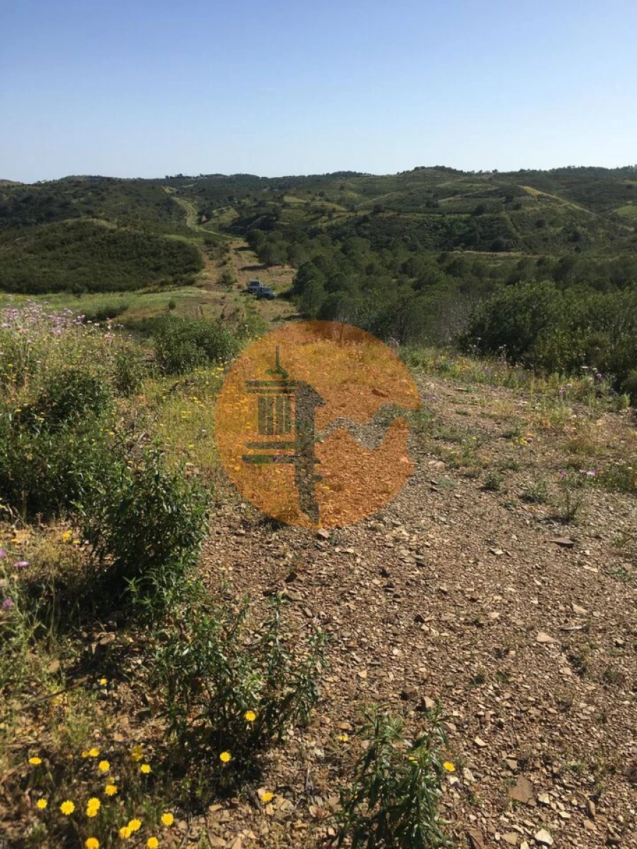 Terreno para Venda em Azinhal Foto 2