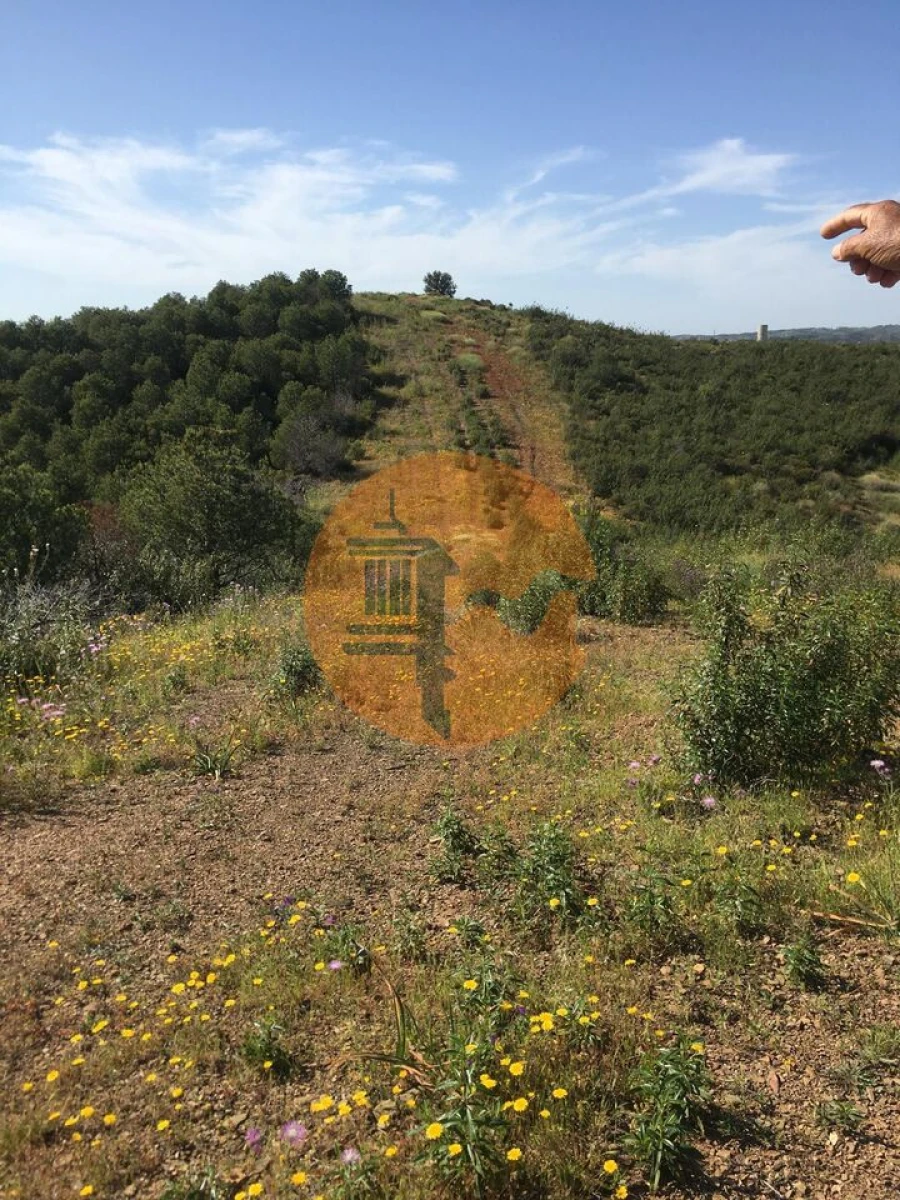 Terreno para Venda em Azinhal Foto 4