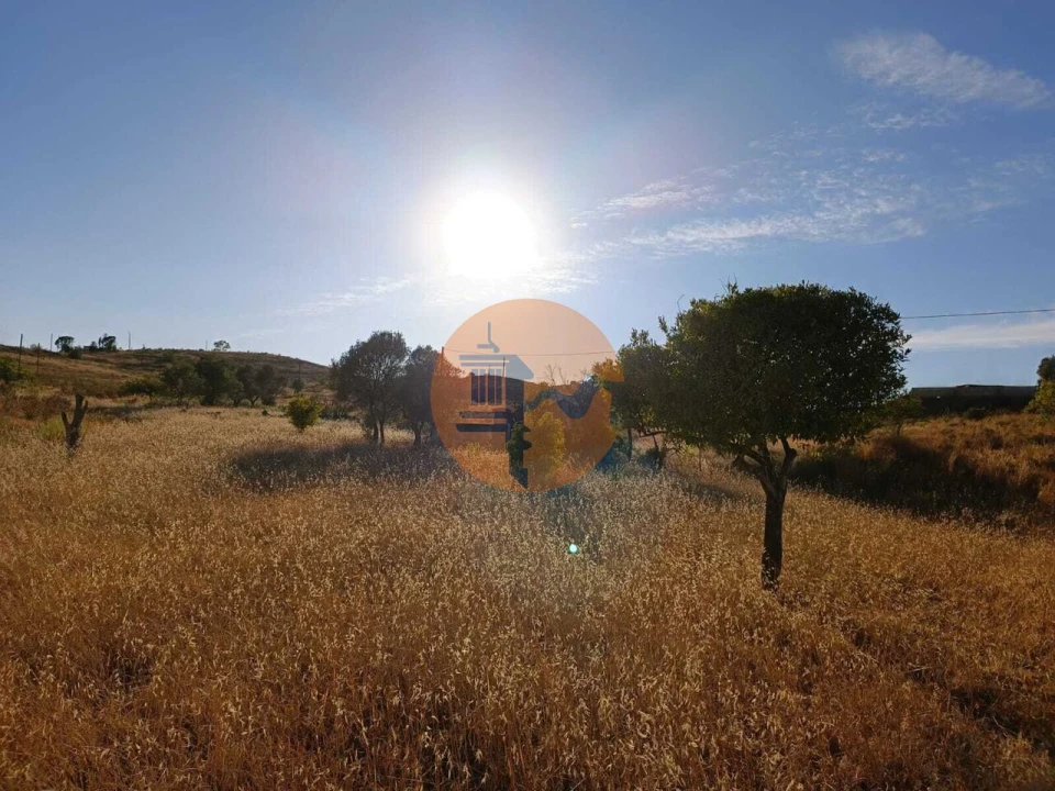 Negócio para Venda em Castro Marim Foto 20