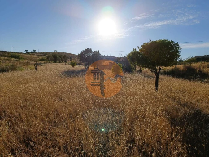 Negócio para Venda em Castro Marim Foto 7