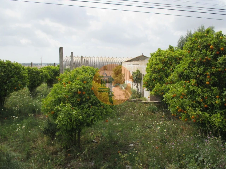 Terreno para Venda em Santa Barbara de Nexe Foto 1