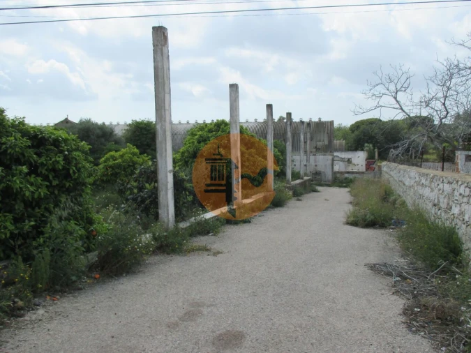 Terreno para Venda em Santa Barbara de Nexe Foto 3