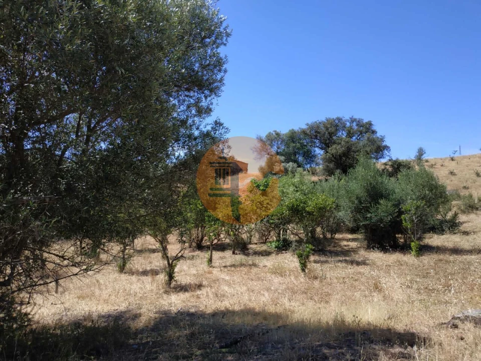 Moradia T4 para Venda em Castro Marim Foto 6