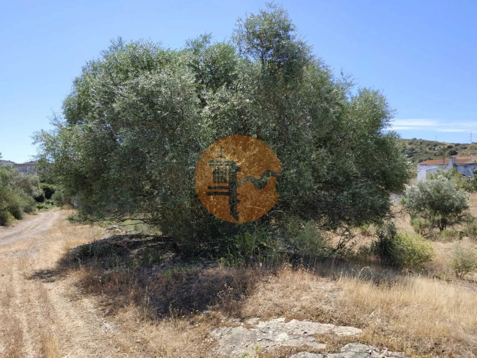 Moradia T4 para Venda em Castro Marim Foto 25