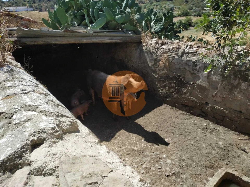 Moradia T4 para Venda em Castro Marim Foto 36