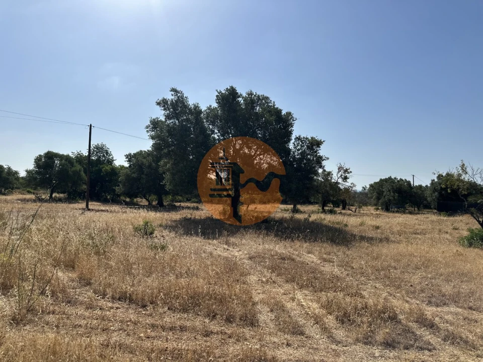 Terreno para Venda em Quelfes Foto 29