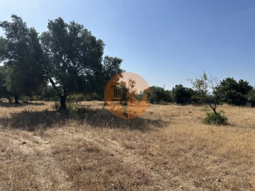 Terreno para Venda em Quelfes