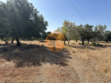 Terreno para Venda em Quelfes