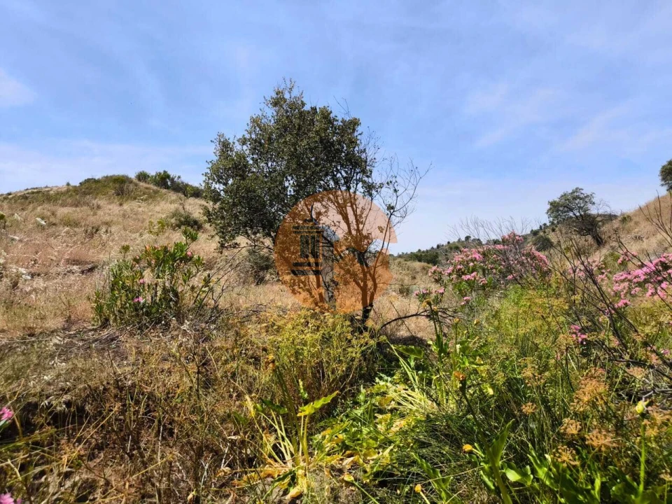 Terreno para Venda em Vila Nova de Cacela Foto 6