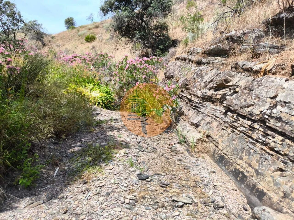 Terreno para Venda em Vila Nova de Cacela Foto 8