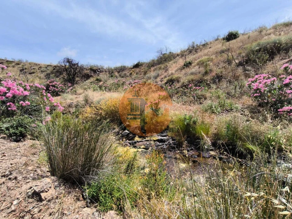 Terreno para Venda em Vila Nova de Cacela Foto 18