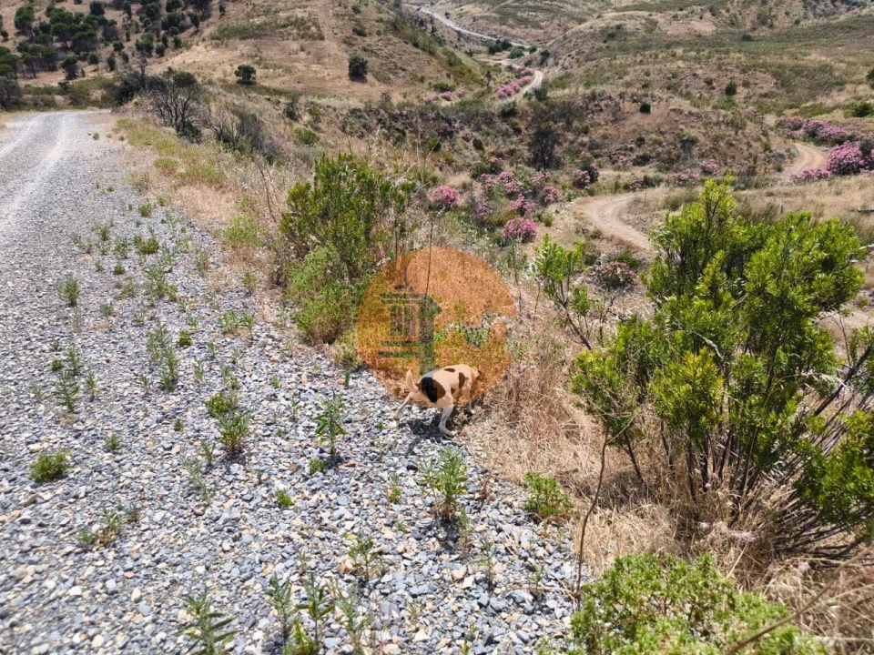 Terreno para Venda em Vila Nova de Cacela Foto 27
