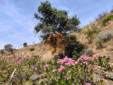 Terreno para Venda em Vila Nova de Cacela