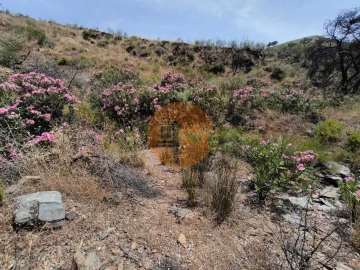 Terreno para Venda em Vila Nova de Cacela