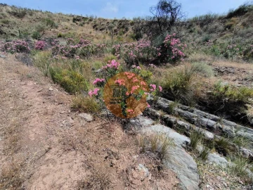 Terreno para Venda em Vila Nova de Cacela