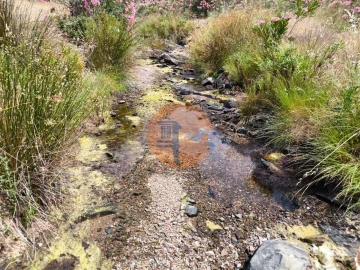 Terreno para Venda em Vila Nova de Cacela