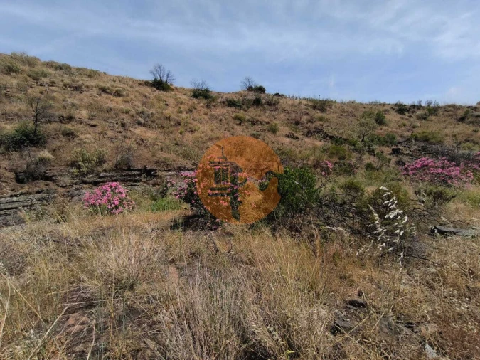 Terreno para Venda em Vila Nova de Cacela Foto 4