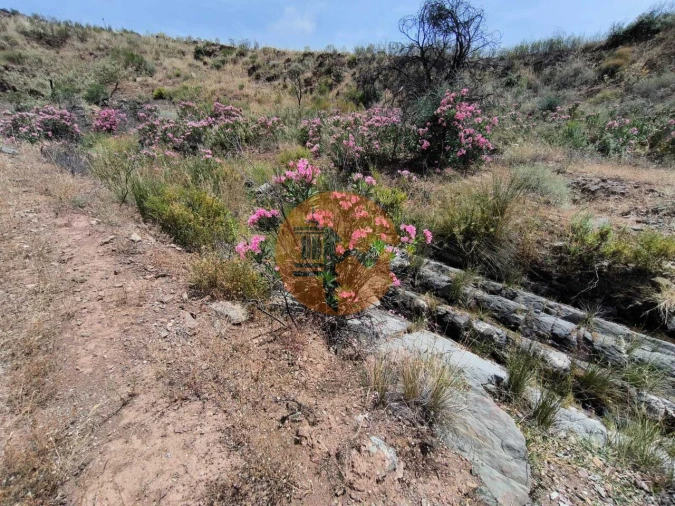 Terreno para Venda em Vila Nova de Cacela Foto 15