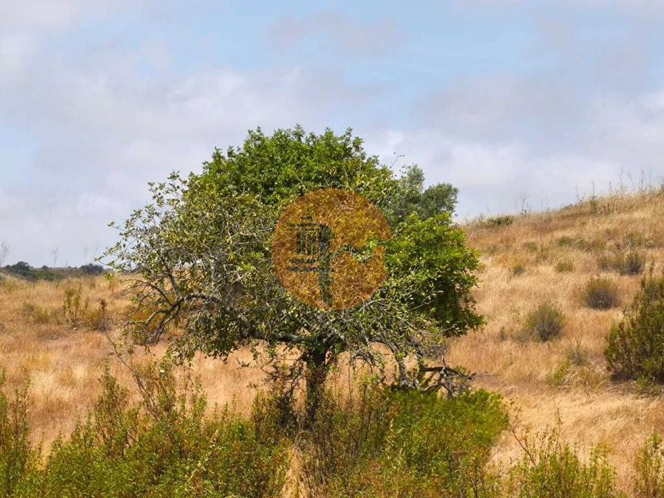Terreno para Venda em Castro Marim Foto 1