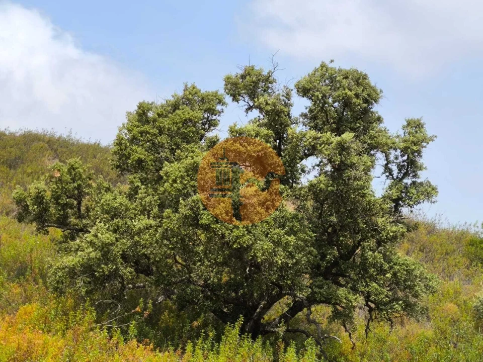 Terreno para Venda em Castro Marim Foto 3