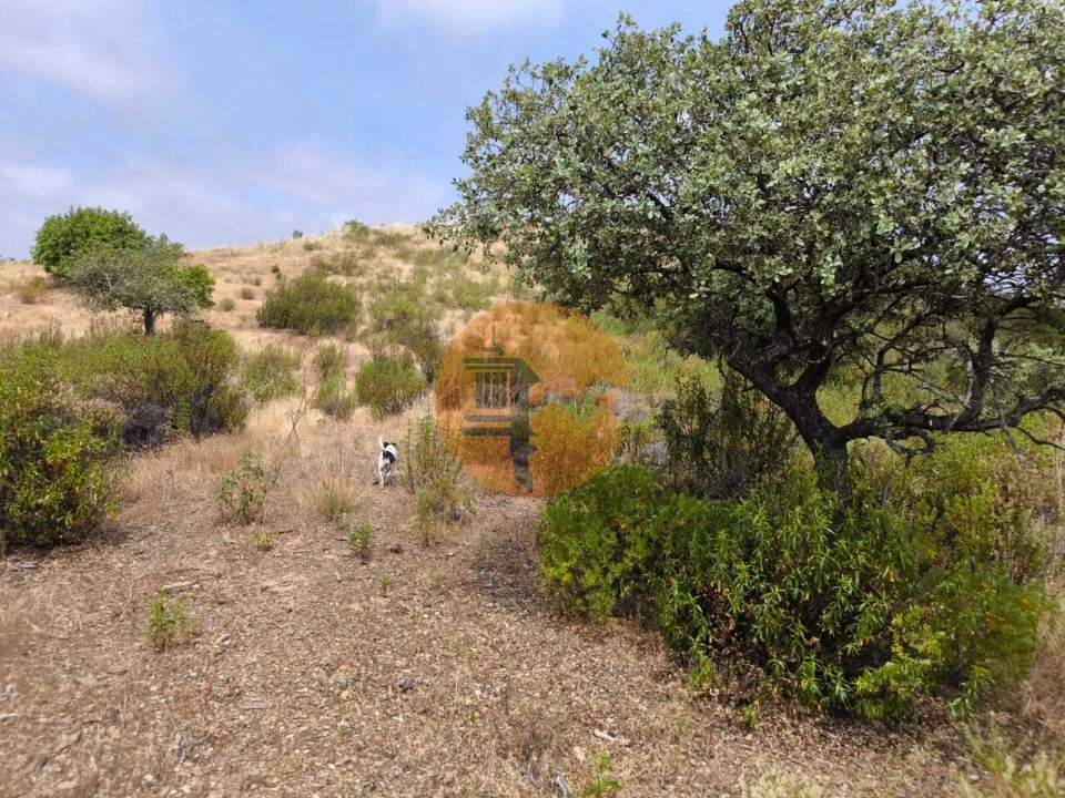 Terreno para Venda em Castro Marim Foto 4