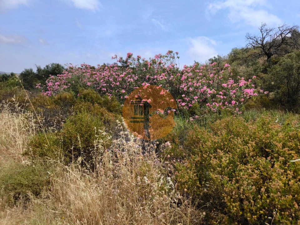 Terreno para Venda em Castro Marim Foto 18