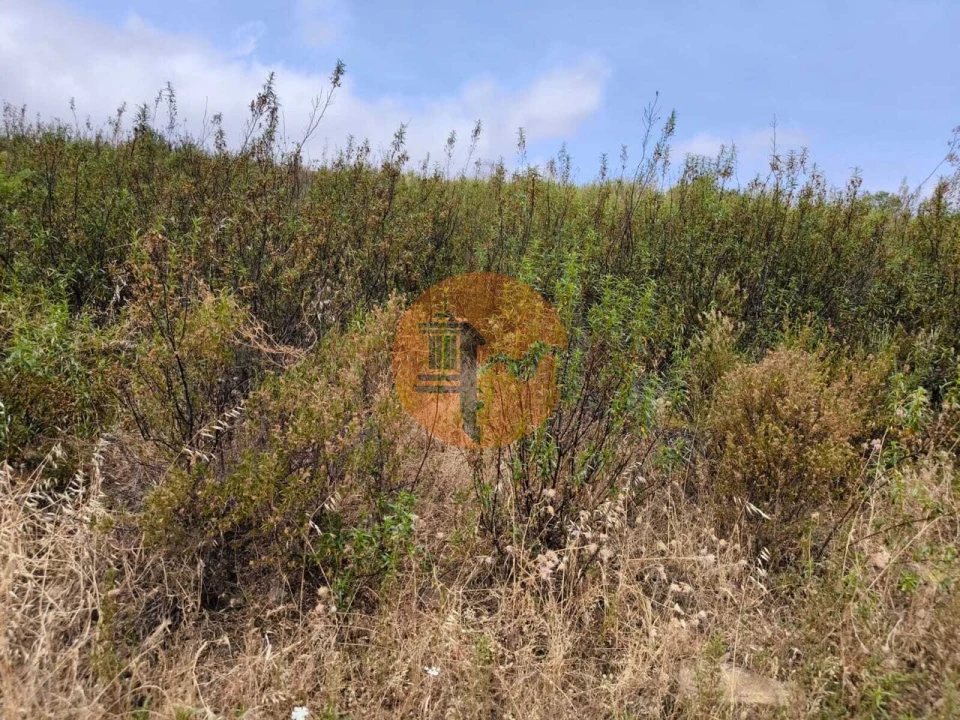 Terreno para Venda em Castro Marim Foto 19
