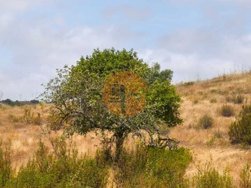 Terreno para Venda em Castro Marim