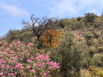 Terreno para Venda em Castro Marim