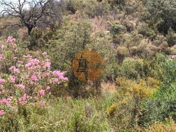 Terreno para Venda em Castro Marim