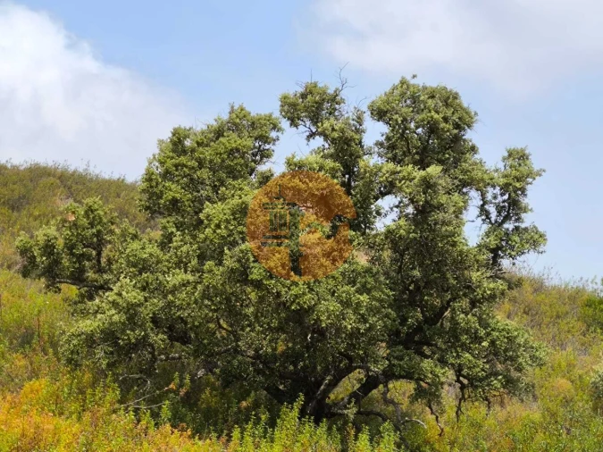 Terreno para Venda em Castro Marim Foto 3