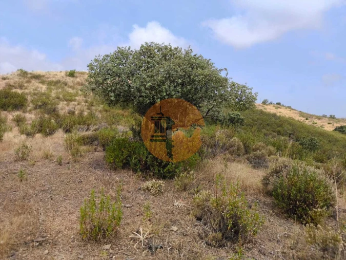 Terreno para Venda em Castro Marim Foto 16