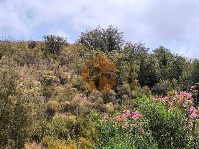 Terreno para Venda em Castro Marim Foto 14