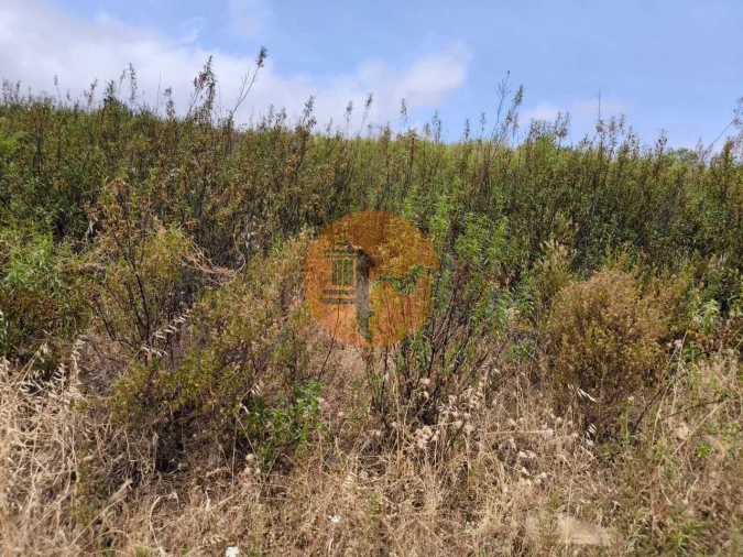 Terreno para Venda em Castro Marim Foto 19