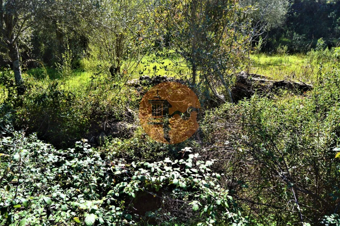 Terreno para Venda em Santa Catarina da Fonte do Bispo Foto 2