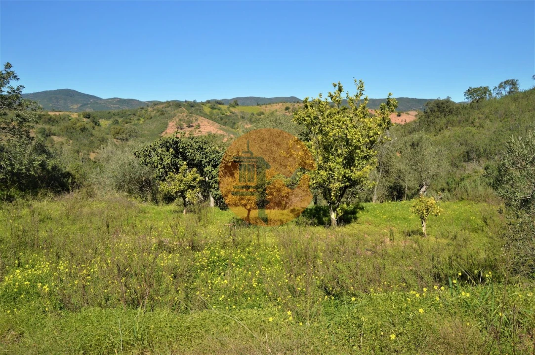 Terreno para Venda em Santa Catarina da Fonte do Bispo Foto 1