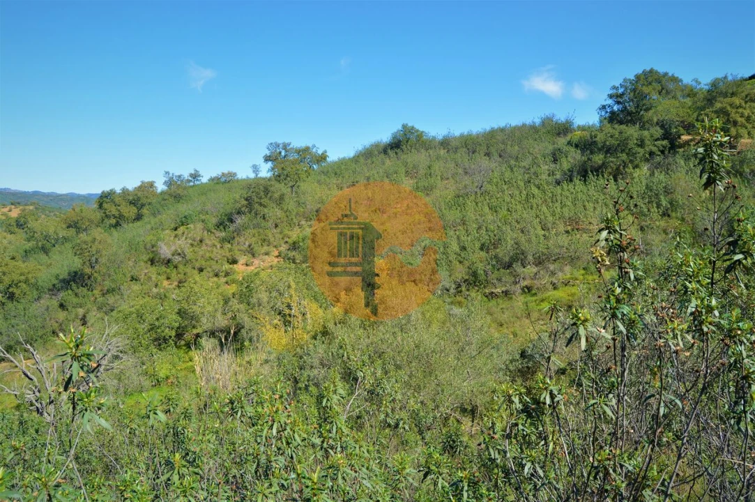 Terreno para Venda em Santa Catarina da Fonte do Bispo Foto 5