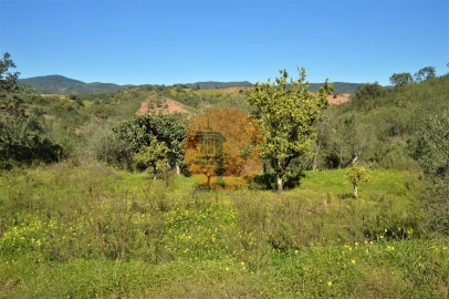 Terreno para Venda em Santa Catarina da Fonte do Bispo
