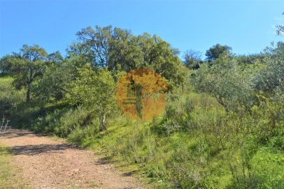 Terreno para Venda em Santa Catarina da Fonte do Bispo