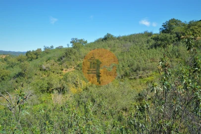 Terreno para Venda em Santa Catarina da Fonte do Bispo