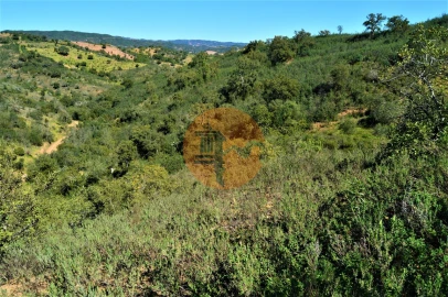Terreno para Venda em Santa Catarina da Fonte do Bispo