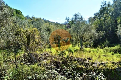 Terreno para Venda em Santa Catarina da Fonte do Bispo