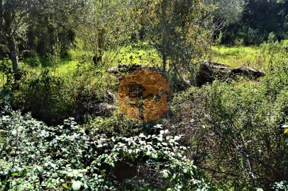 Terreno para Venda em Santa Catarina da Fonte do Bispo