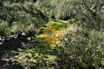 Terreno para Venda em Santa Catarina da Fonte do Bispo
